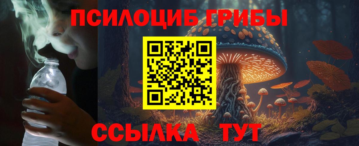 Псилоцибиновые грибы Magic Shrooms Калач-на-Дону